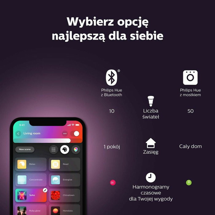 Philips Hue Hue Play Pack de 2 - Noir