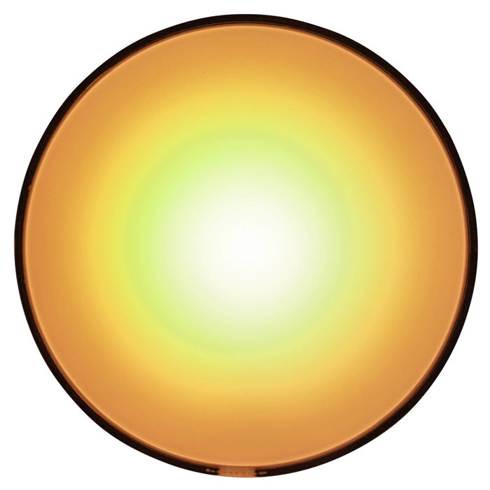 Philips Hue Go White and Color Lampe portable connectée
