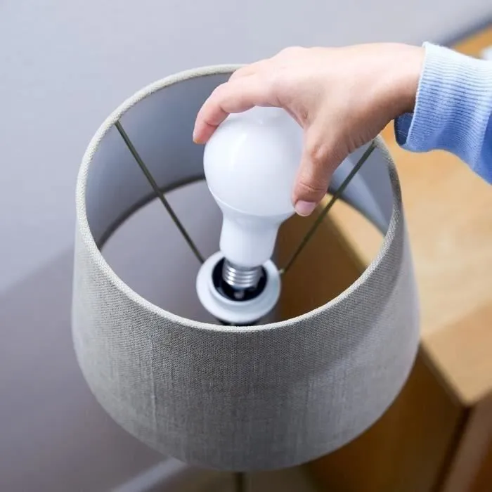 Wiz Ampoule Connectée Blanc Variable E27 100W