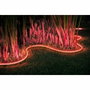 Philips Ruban lumineux connecté White Outdoor Lightstrip - 5 m - 6500 K