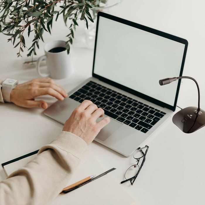 Microphone NGS MS 115 Microphone NGS MS 115