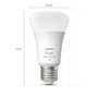 Philips Hue Kit de démarrage White & Color Ambiance avec 3 ampoules E27 et télécommande