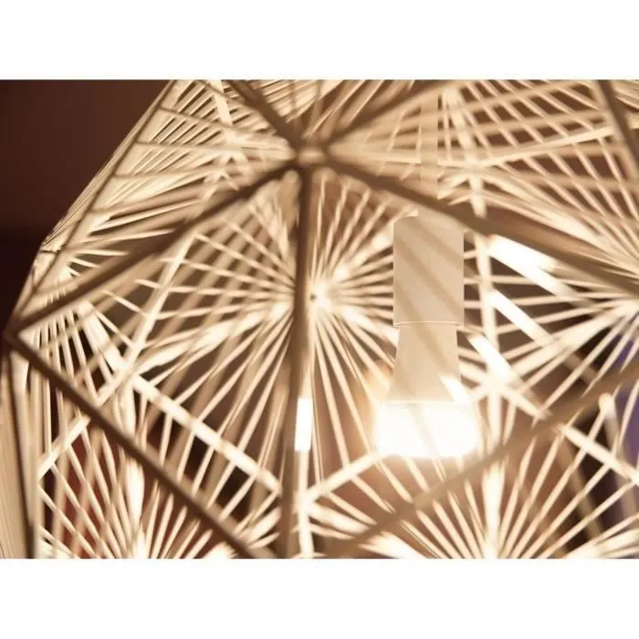 Philips Hue Kit de Démarrage Ampoules LED Intelligentes Blanc E27 x3 avec Télécommande 9.5W