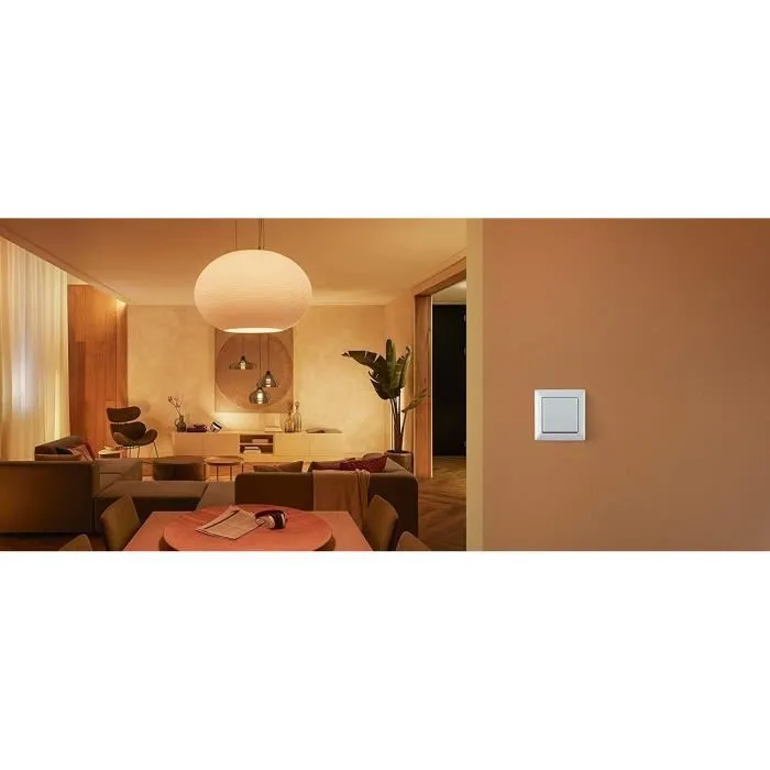 Philips Hue Module interrupteur mural Blanc