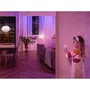 Philips Hue Module interrupteur mural Blanc