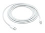 Apple Câble MQGH2ZM/A Blanc