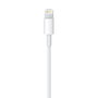 Apple Adaptateur Lightning vers USB Blanc