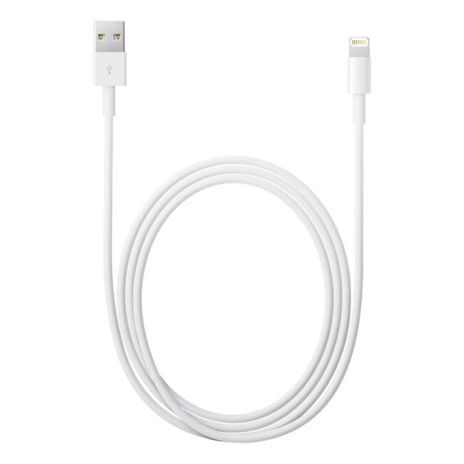 Apple Adaptateur Lightning vers USB Blanc
