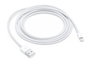 Apple Adaptateur Lightning vers USB Blanc