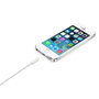 Apple Adaptateur Lightning vers USB Blanc