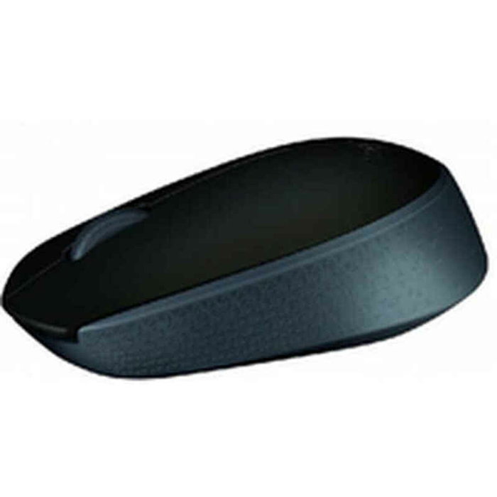 Logitech M171 Souris sans fil Noir