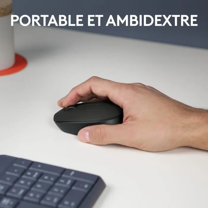 Logitech M171 Souris sans fil noir ambidextre, 12 mois d'autonomie, compatible Windows, Mac, Chrome
