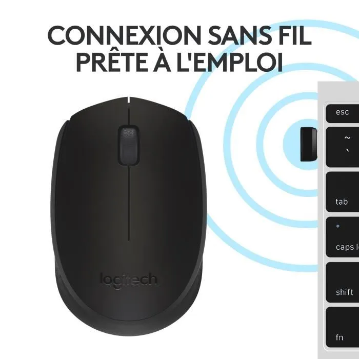 Logitech M171 Souris sans fil noir ambidextre, 12 mois d'autonomie, compatible Windows, Mac, Chrome