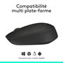 Logitech M171 Souris sans fil 2.4 GHz avec autonomie 12 mois sur pile AA, Noir, pour Windows, macOS, ChromeOS, Linux