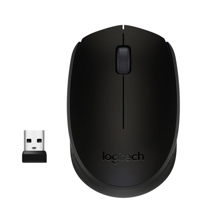 Logitech M171 Souris sans fil Noir