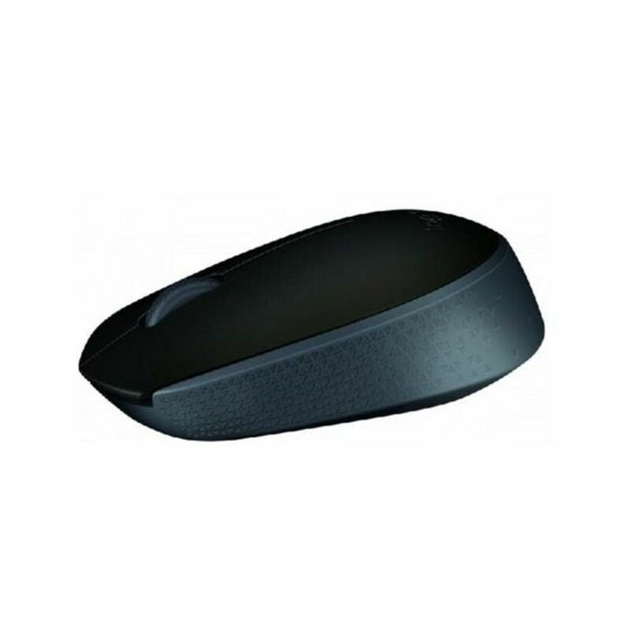 Logitech M171 Souris sans fil Noir