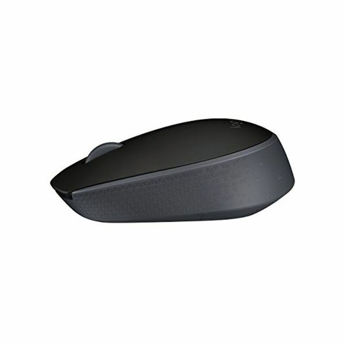 Logitech M171 Souris sans fil Noir