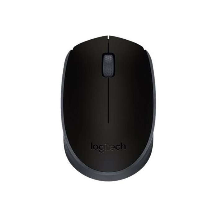 Logitech M171 Souris sans fil Noir