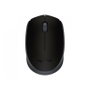 Logitech M171 Souris sans fil Noir