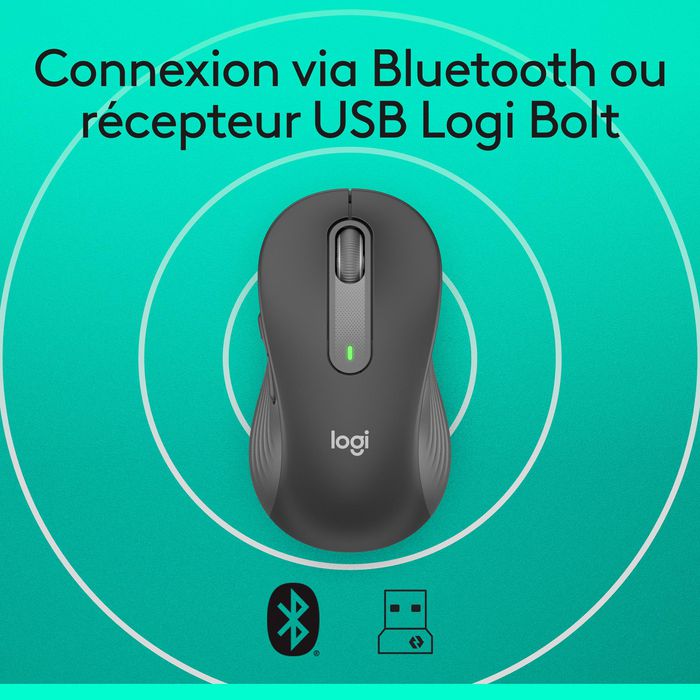 Logitech M650 L - Souris sans fil Bluetooth et Logi Bolt pour grandes mains, silencieuse, défilement SmartWheel, 5 boutons personnalisables, 2000 DPI, graphite