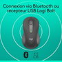 Logitech M650 L - Souris sans fil Bluetooth et Logi Bolt pour grandes mains, silencieuse, défilement SmartWheel, 5 boutons personnalisables, 2000 DPI, graphite