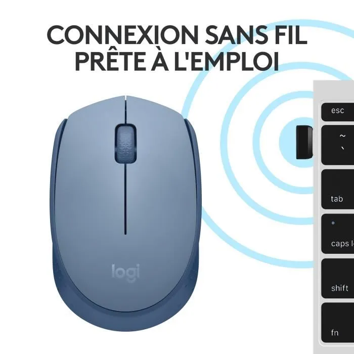 Logitech M171 Souris sans fil ambidextre, technologie 2.4 GHz, 1000 dpi, couleur bleu gris, pour ordinateur portable et bureau