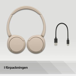 Sony WH-CH520 Casque Bluetooth Beige