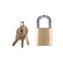 Edm Cadenas laiton 30mm arc normal doré chromé blister 3 clés