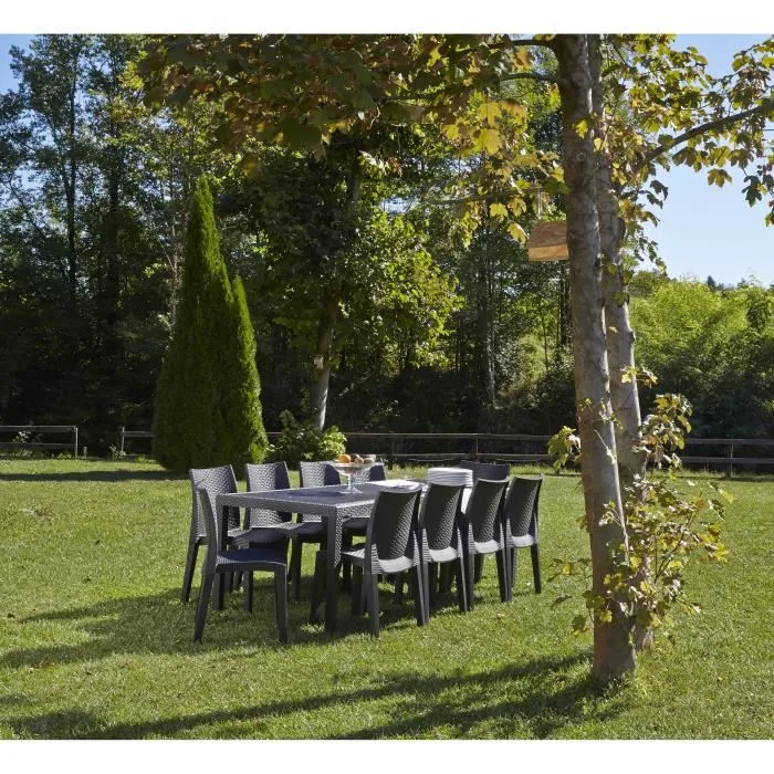 Queen Table de jardin rectangulaire effet rotin en résine, 220 x 90 cm, couleur anthracite, pour 8 personnes, style exotique Queen Table de jardin rectangulaire effet rotin en résine, 220 x 90 cm, couleur anthracite, pour 8 personnes, style exotique