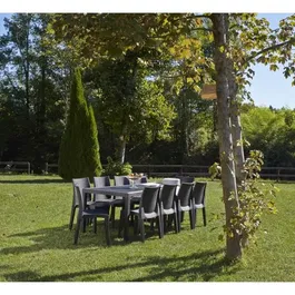 Queen Table de jardin rectangulaire effet rotin en résine, 220 x 90 cm, couleur anthracite, pour 8 personnes, style exotique