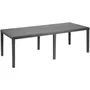 Queen Table de jardin rectangulaire effet rotin en résine, 220 x 90 cm, couleur anthracite, pour 8 personnes, style exotique
