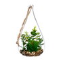 Atmosphera Plante décorative Verre Vert 10 x 19,5 cm
