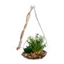 Atmosphera Plante décorative Verre Vert 10 x 19,5 cm