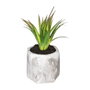 Plante décorative Atmosphera 7 x 14 cm Vert PVC
