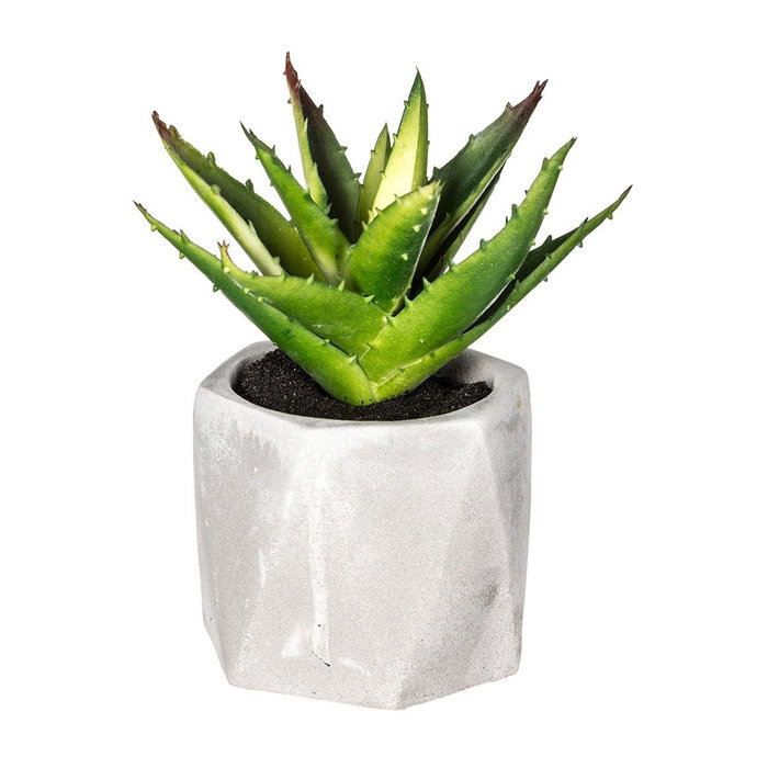 Plante décorative Atmosphera 7 x 14 cm Vert PVC