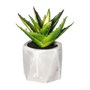 Plante décorative Atmosphera 7 x 14 cm Vert PVC