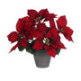 Mica Decorations Plante décorative Rouge PVC