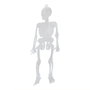 Articasa Lot de 10 squelettes Halloween brillent dans le noir, 15 cm
