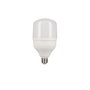 Lampe LED EDM 98833 F 30 W E27 2400 Lm Ø 10 x 20 cm (6400 K)
