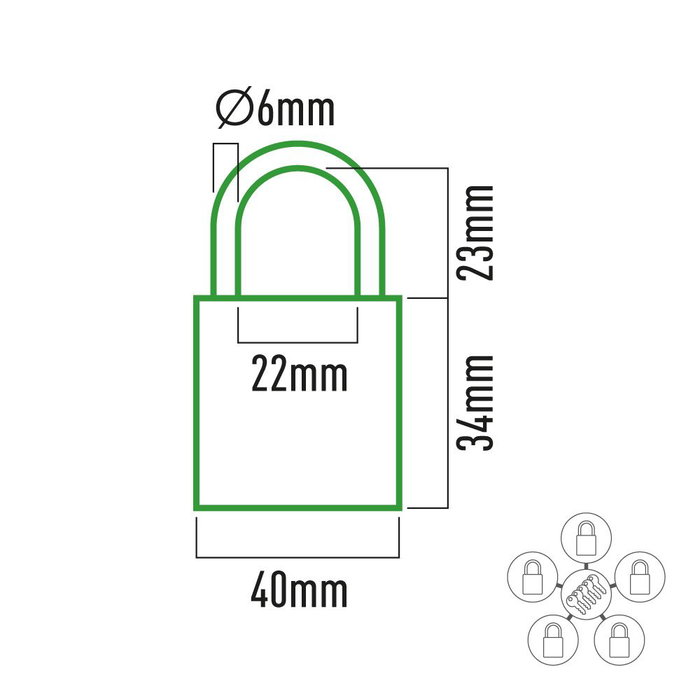 EDM 40 mm Lot de 5 candados en laiton avec arceau normal et clés identiques doré
