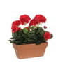 Mica Decorations Jardinera Geranium rouge PVC 29x13x40 cm