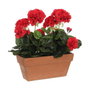 Mica Decorations Plante décorative rouge (29 x 13 x 40 cm)