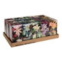 BigBuy Home Fleurs décoratives Aromatique 250 g