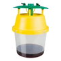 Insecticide Massó Piège Guêpes