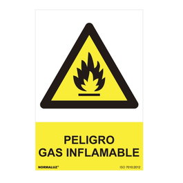 Normaluz Panneau de danger gaz inflammable en PVC 30x40cm