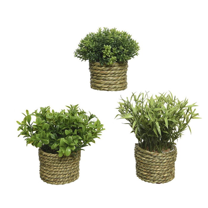 Everlands Maceta de jute avec plante verte en polyester Ø16 x 13 cm, modèles variés