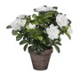 Mica Decorations Plante décorative blanche avec pot