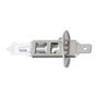Dunlop Ampoule H1 12V 55W