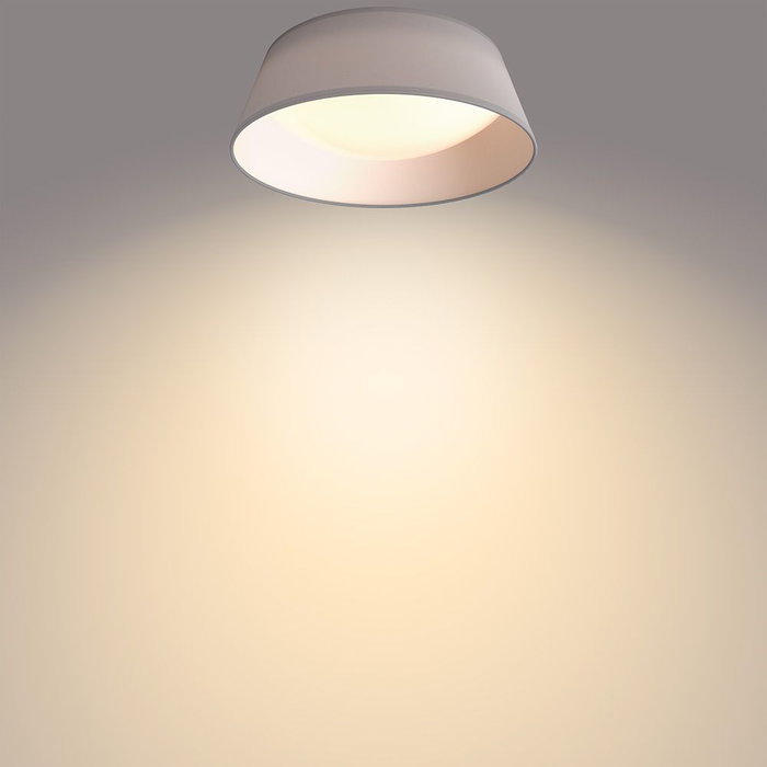 Philips Dawn Plafonnier LED 14W Gris ø34 cm Philips Dawn Plafonnier LED 14W Gris ø34 cm