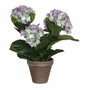 Mica Decorations Plante décorative Magnolia avec pot en céramique gris 35 x 40 cm